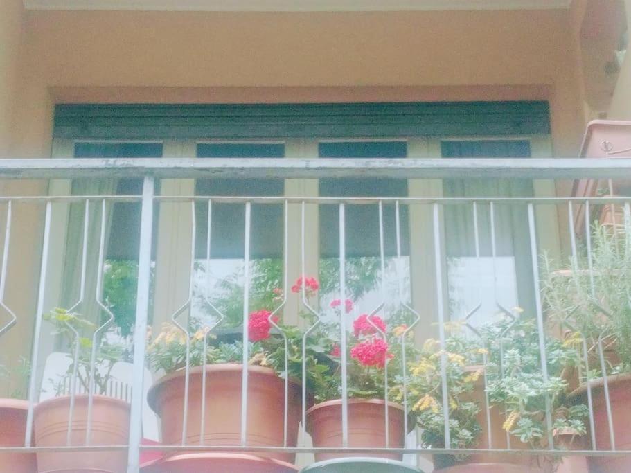 Ferienwohnung Ampi Spazi, A Piedi In Centro. Treviso Exterior foto