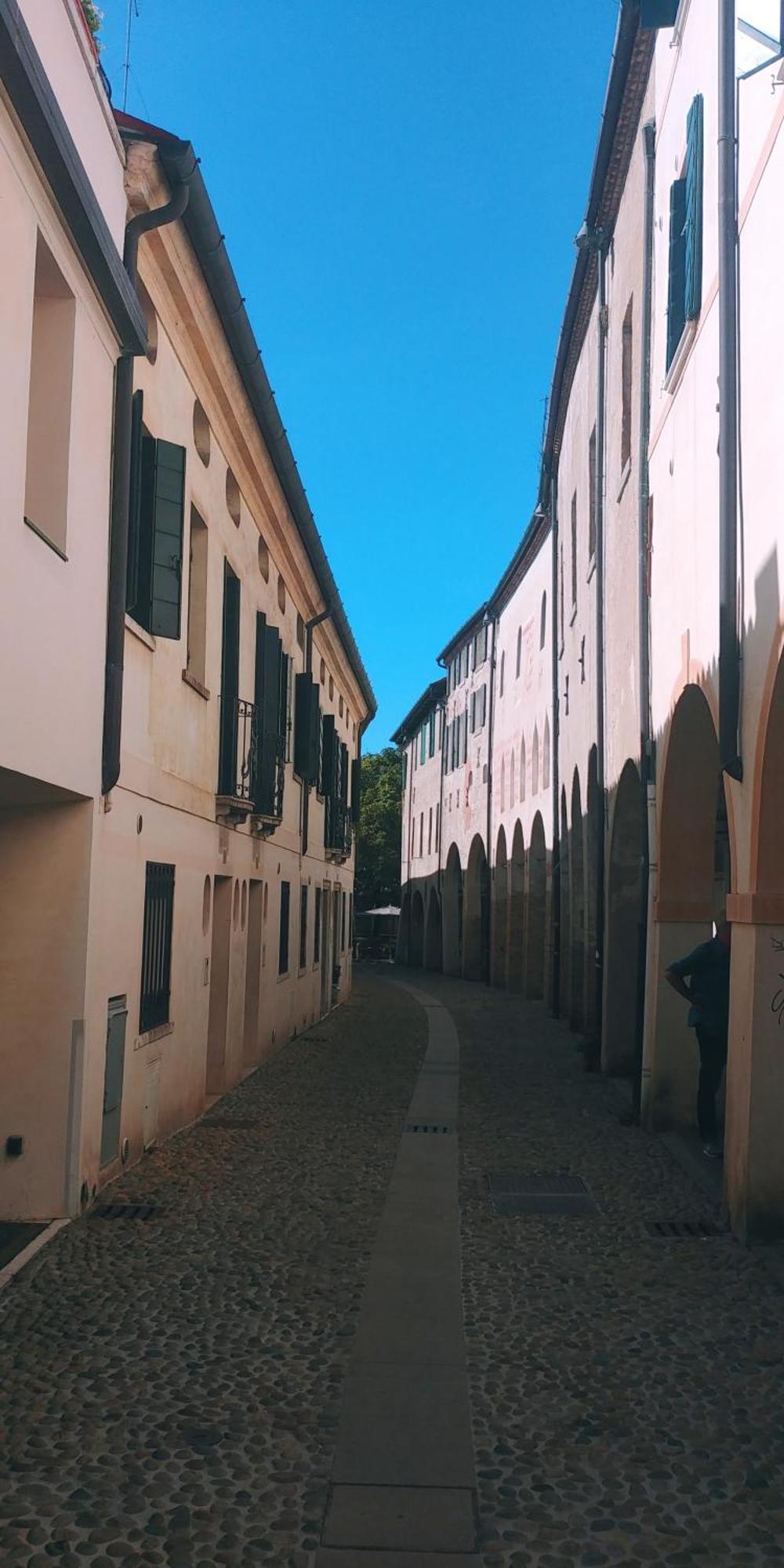Ferienwohnung Ampi Spazi, A Piedi In Centro. Treviso Exterior foto